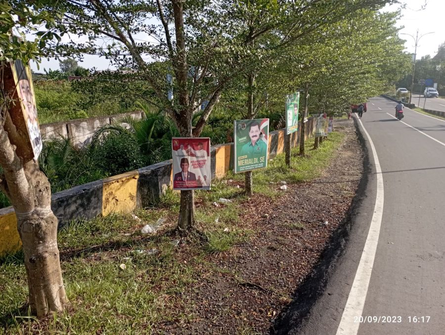 Aktivis Lingkungan Soroti Pemasangan Spanduk Caleg di Pohon-pohon