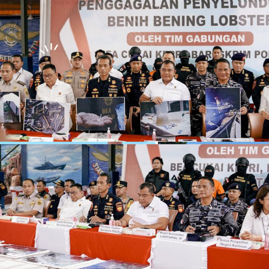 Bareskrim Polri : Gagalkan Penyelundupan 151 Ribu Benih Lobster di Perairan Bintan