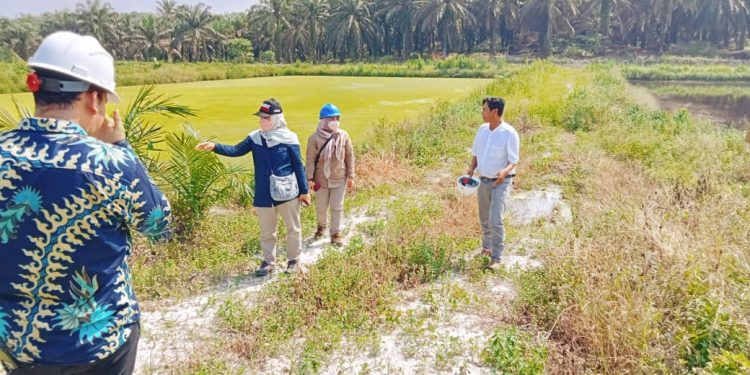 Diduga Ada Pencemaran Limbah Pabrik, DLH Adakan Investigasi di PT. PAL