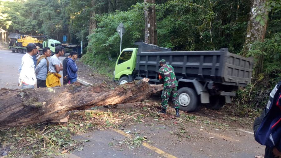 Gerak Cepat Koramil 1615-10/Sembalun dan Warga Bersihkan Pohon Tumbang