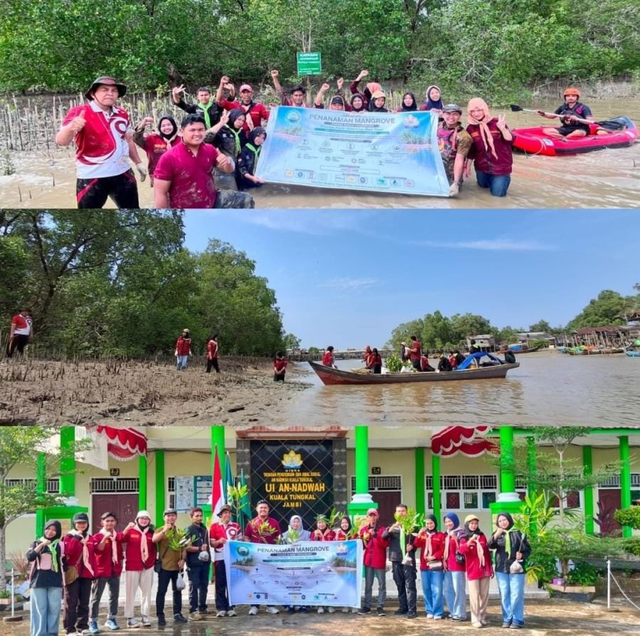Hari Mangrove Sedunia 2026, MAPALA PAMSAKA UINKA Tanam Ratusan Bibit Hasil Program Adopsi Mangrove