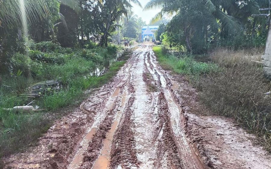Jalan dan Tanggul Rusak, Masyarakat Karya Jitu Mukti Lampung Butuh Perhatian Serius