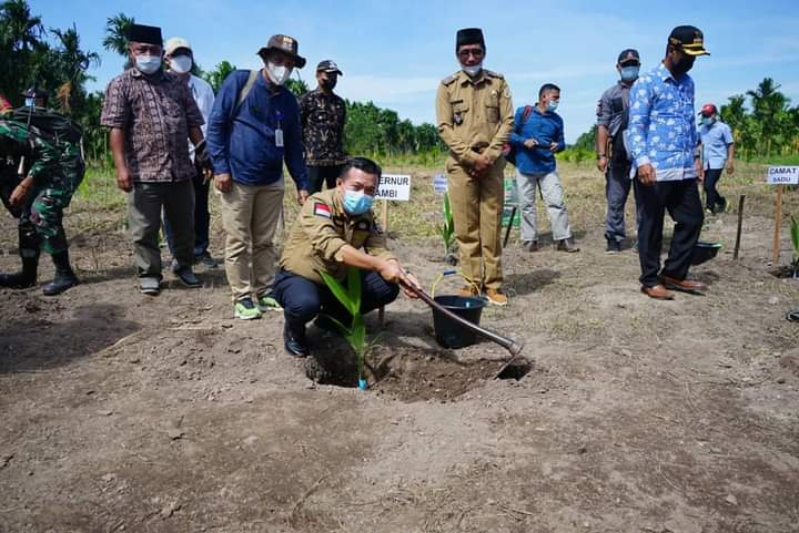 Kunker ke Tanjab Timur Perkuat Sektor Pertanian, Gubernur Tanam Komoditi Pinang di Sadu