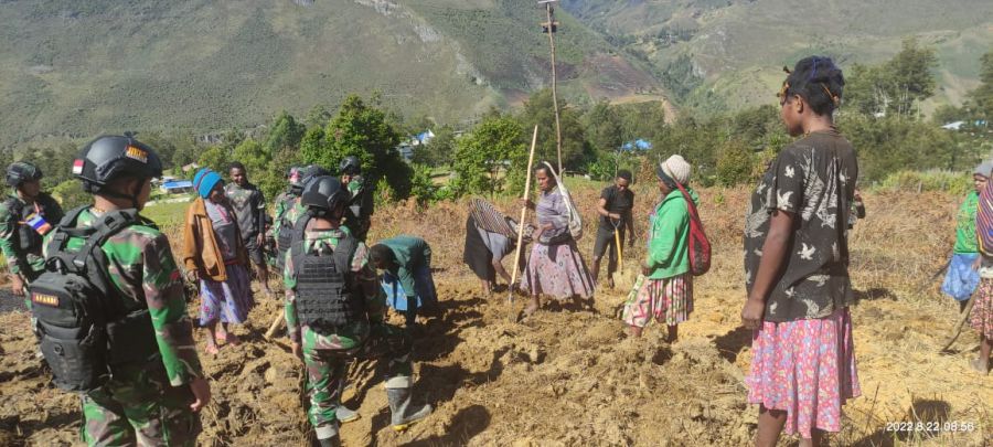 Mencegah Krisis Pangan di Pegunungan Tengah Papua, Satgas Yonif Mekanis 203/AK Membuka Lahan Tidur