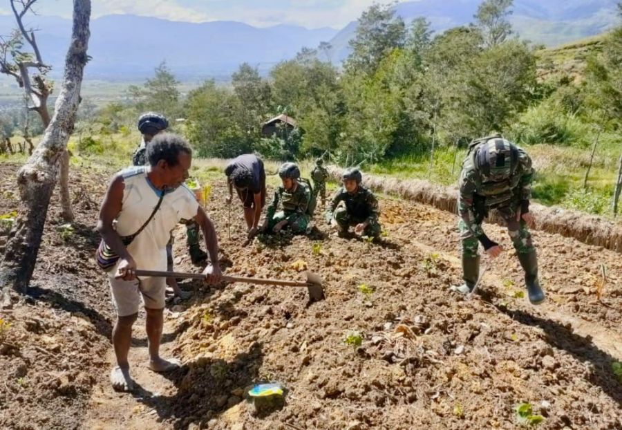 Menjaga Ketahanan Pangan di Pedalaman Papua Bersama Satgas Yonif Raider 321/GT/13/1 Kostrad