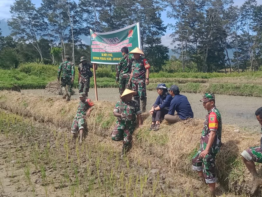 Peduli Ketahanan Pangan, Dandim 1702/JWY Turun Langsung Melakukan Pendampingan Penanaman Padi