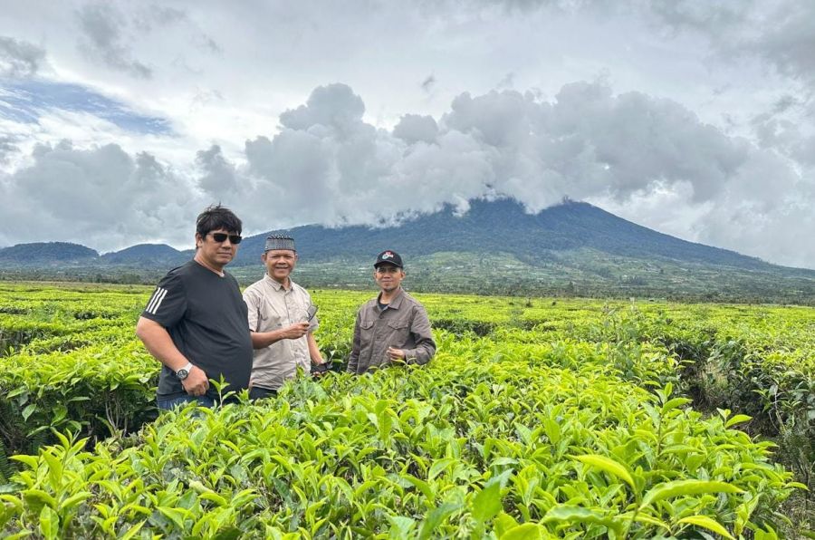 Perkebunan Teh Legendaris Kerinci Jadi Objek Kekaguman Ketua LDII Jambi