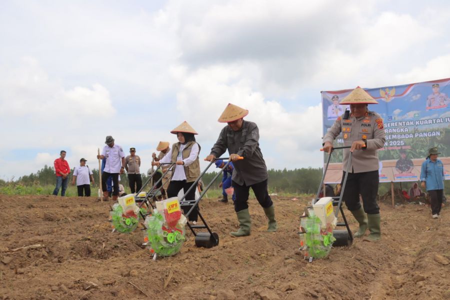 Polres Tanjab Barat Pimpin Tanam Jagung Serentak Kuartal IV,Dukung Ketahanan Pangan Nasional
