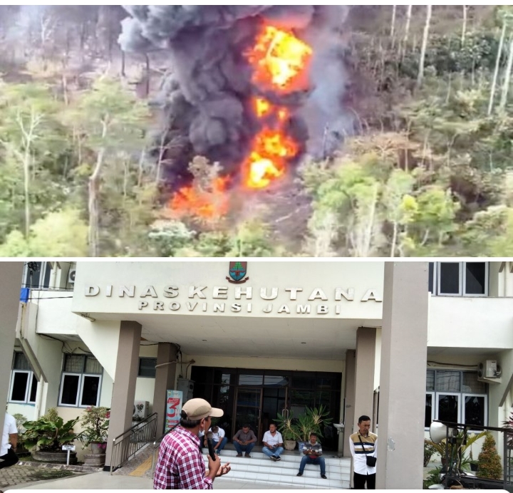 Sejumlah Ormas dan LSM Gelar Unjuk Rasa di Halaman Kantor PT. AAS Hingga Dishut dan BPHP