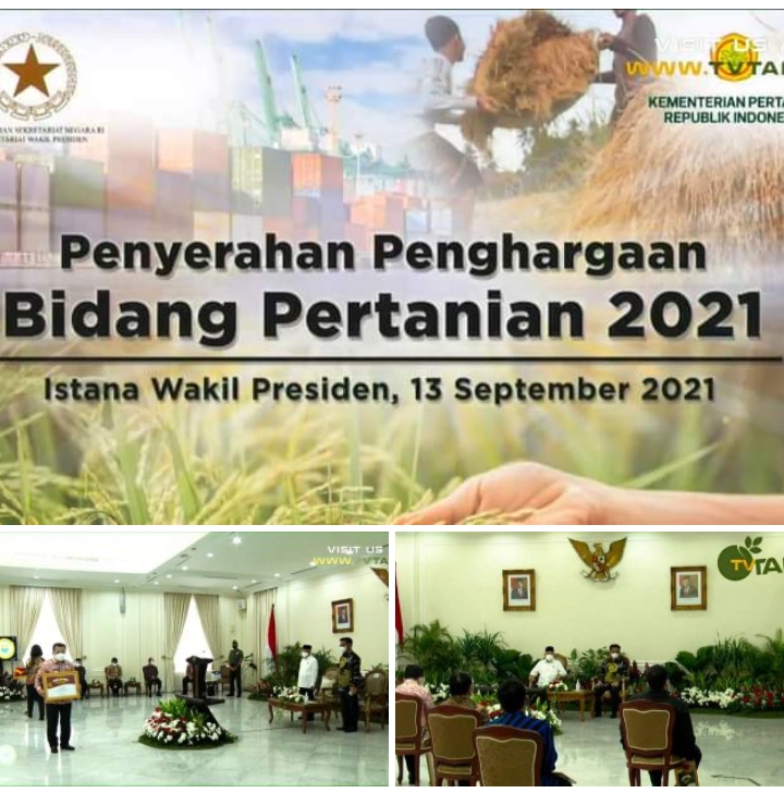 Wakil Presiden RI Berikan 2 Penghargaan Bidang Pertanian kepada Gubernur Jambi