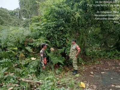 Babinsa Koramil 01 Bengkalis Sertu Syafrizal rutin menghimbau dan sosialisasi dampak kebakaran hutan